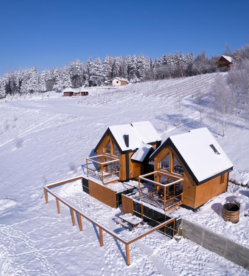 Cortina resort Ivanjica Esterno foto