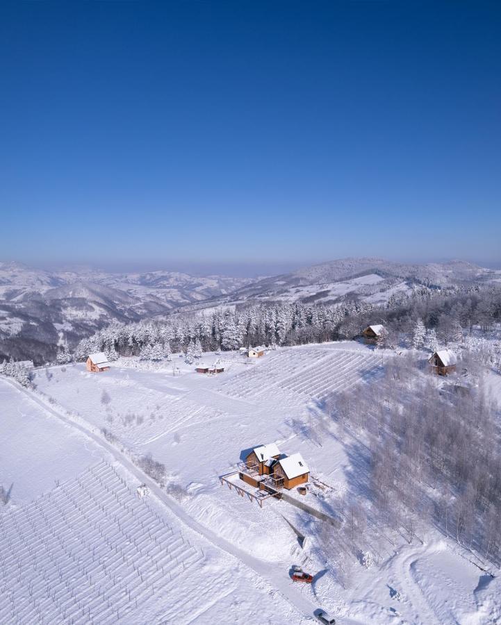 Cortina resort Ivanjica Esterno foto